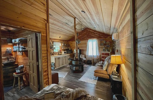 Caddo Gap Cabin | Lil' Rustic Retreat w/Hot Tub Near Little Missouri Falls and Caddo River