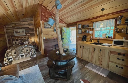 Caddo Gap Cabin | Lil' Rustic Retreat w/Hot Tub Near Little Missouri Falls and Caddo River