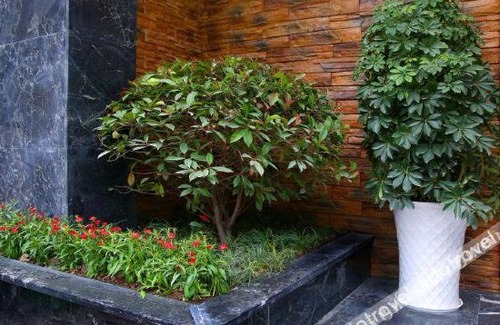 Yongding Bed & Breakfast | Zhangjiajie RuiYuan Hotel - Zhangjiajie West Railway Station - Free Pick up