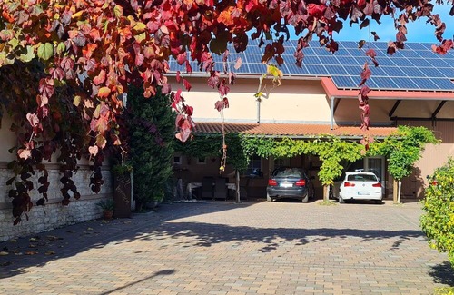 Ober-Florsheim Bed & Breakfast | Junior Suite, bath, WC, comfort - Gästehaus Schröder