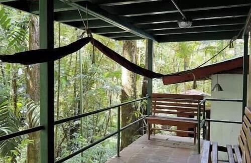 Cerro Punta Apartment | Cabin inside cloudforest “PILA” floor 1