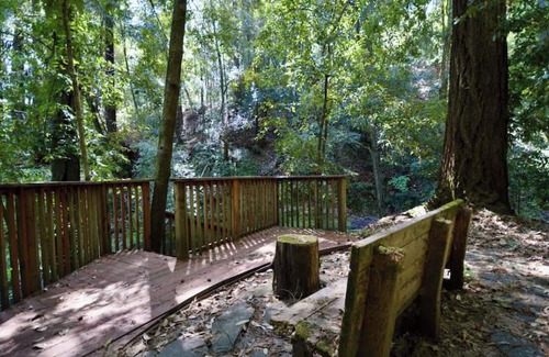 Soquel Cabin | The Coastal Redwood Cabin - Peaceful, serene, with private creek! Dog OK!