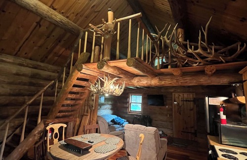 Alma Cabin | Log cabin, log cabin sauna building, wildlife, orchards