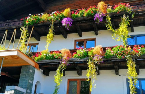Muhlbach im Pinzgau Apartment | Centrally located characteristic and modern
