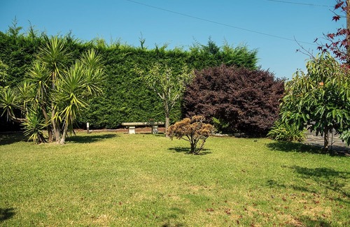 Poio House | House with garden and terrace to enjoy with your pet - Pet Friendly