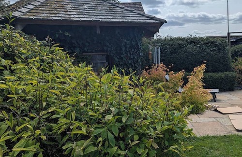 Cranbrook House | Artist's Hawkhurst Home with Pool and Sauna