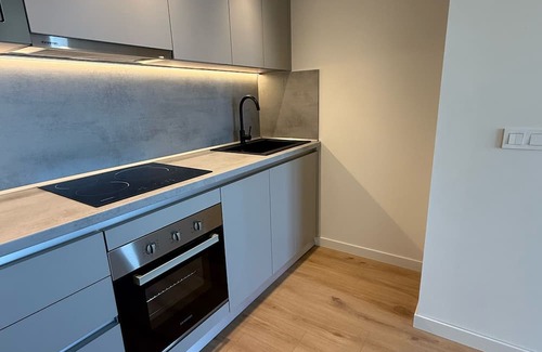 La Latina Apartment | Modern New Perfect enjoy Madrid free airport transportation.