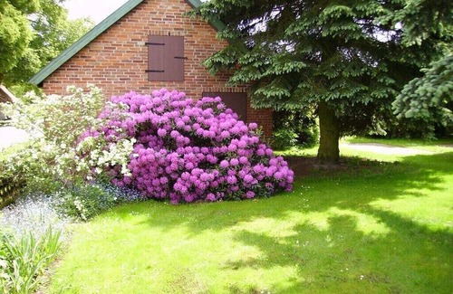 Nahrendorf House | Holiday apartment in Nahrendorf with barbecue