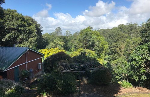 Maleny Cabin | Dads Art Studio