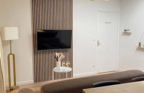 Le Puy-en-Velay Apartment | ~ Cosy and Cocooning apartment ~ Downtown