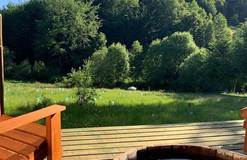 Loncoche Cabin | ¨Refugio Pulli¨ Cozy cottage in the countryside for 2 adults 1 child.