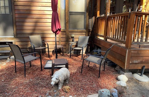 Tahoe Valley House | The Cedar Pines tiny house bungalow Pet Friendly