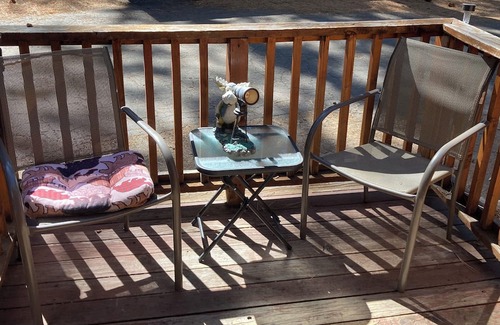 Tahoe Valley House | The Cedar Pines tiny house bungalow Pet Friendly