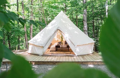 Miller Lake House | "The Palm" Unique Glamping Tent near Tobermory