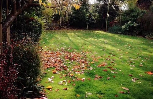 Whitton House | A room in a beautiful house 0.8M from Twickenham stadium easy transportation