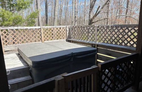 Wellington Cabin | Charming 2-bedroom cabin with WiFi, AC, hottub and sauna!