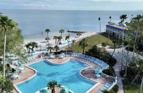 Pinellas Point House | Ideal Family Stay - Adventurous Excursions, Trendy Dining & Beach Escape