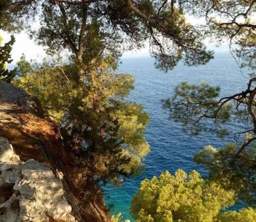 Makarska Old Town Apartment | Makarska room 2 bets with balkon 50 m from beach