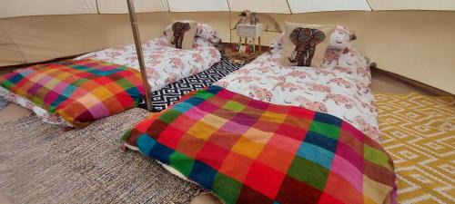 Northmoor Green Other | Paradise Luxury Camping