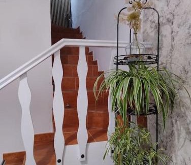 Benaojan House | casa espejos