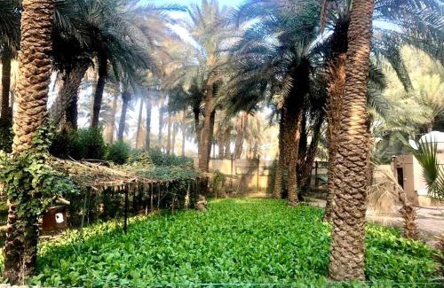 Riyadh Other | منتجع ومزرعة نخيل نجد Najd Palms