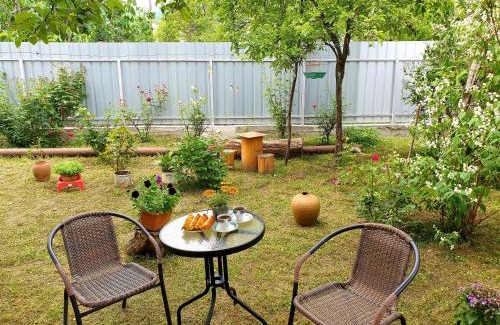Ambrolauri House | Lizu