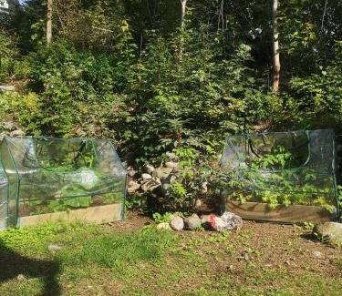 Tampere Bed & Breakfast | Valkea Monitoimitila - Jaetut Huoneet Naispuolisille