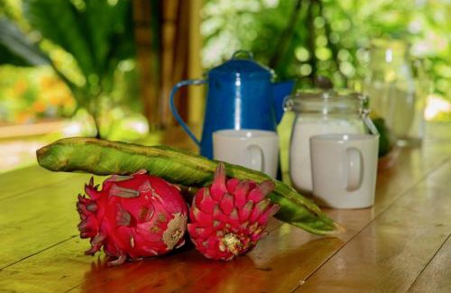 Canton Liberia Apartment | Rancho Costafalo Eco-Tourism Farm