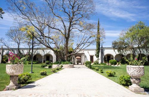 Comonfort Hotel | New Suite Luxury amid Vineyards and Tranquility