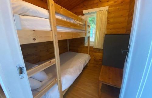 Bronaber House | Cabin