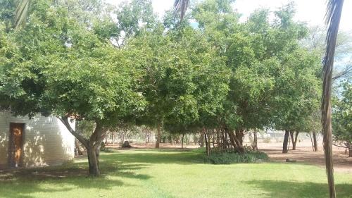 Mariental House | Koha Guesthouse