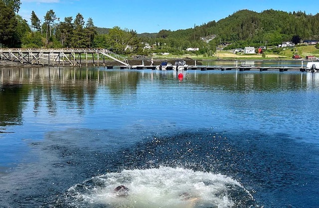 6 person holiday home in Åsenfjord