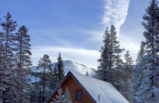 The perfect cabin in the mountains, minutes to downtown Breckenridge