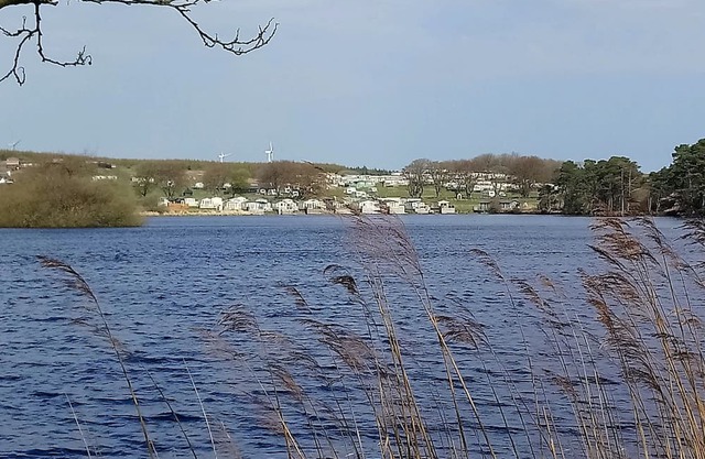 Static caravan to hire on edge of Galloway forest
