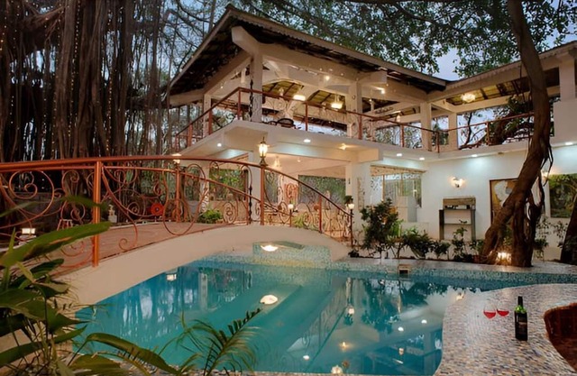 Vibes Inn Singing Tree