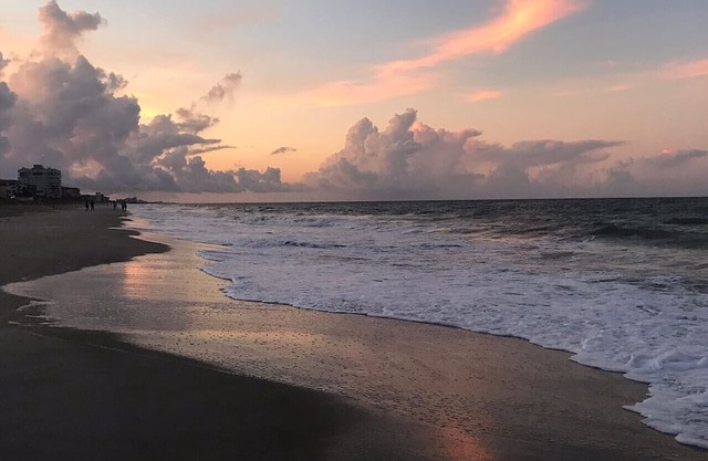 Coastal Cove