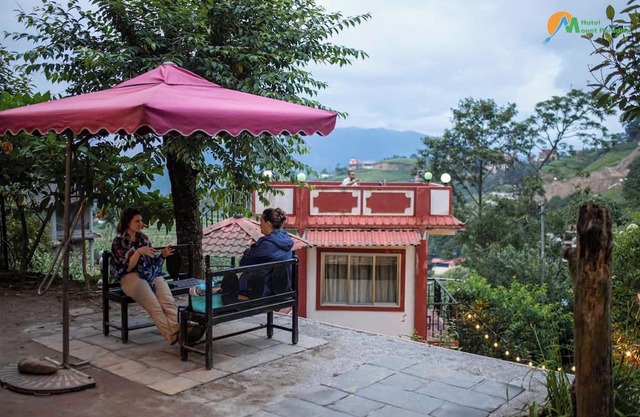A Vegetarian Oasis: Retreat, Relax, Restore