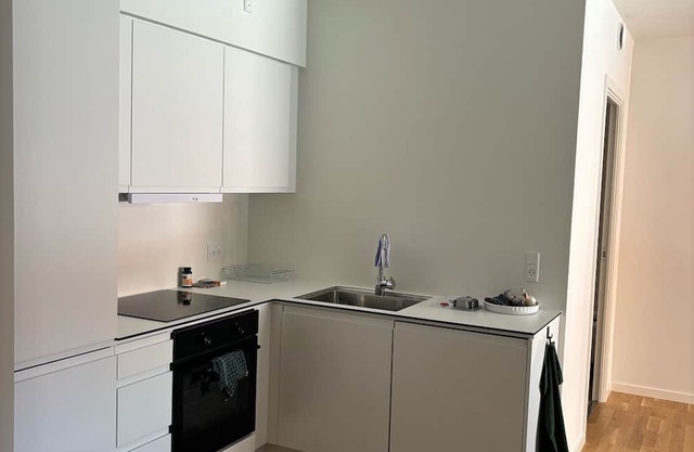 Central apartment Odense (Jarl)