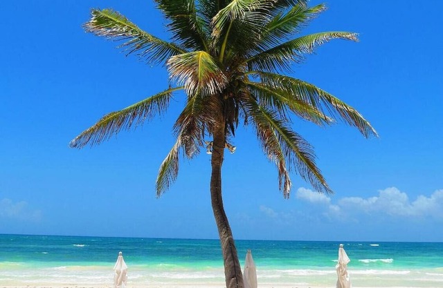 Beautiful Villa 12 Bdr Tulum Hotel zone for groups - Shambala Petit