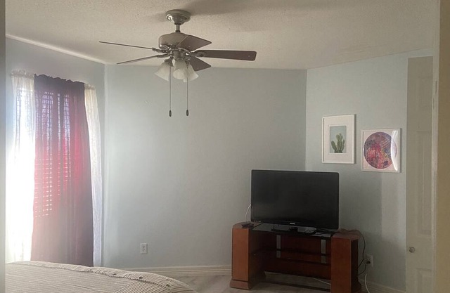 Dynamic cozy and peaceful room