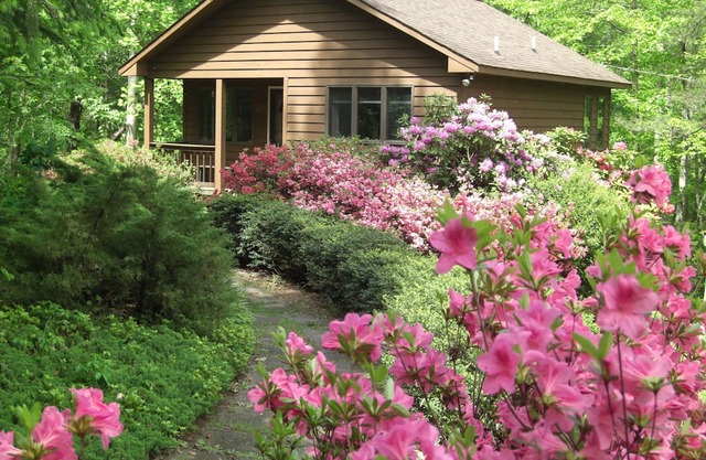Creek House