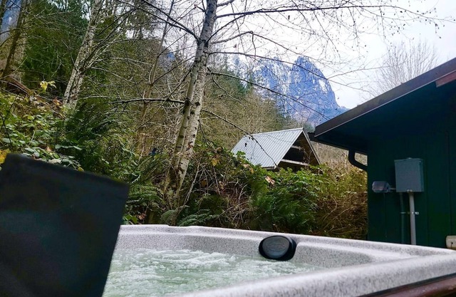 The Lily Pad - rustic cabin for 2+pets, mountain view, river access
