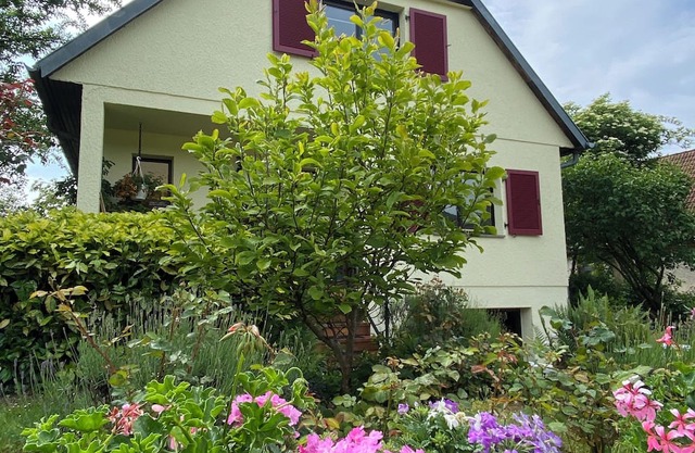 La Maison Des Roses
