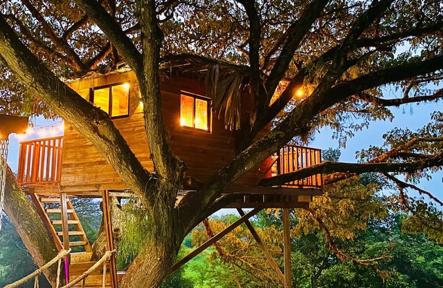 Cabaña en un árbol en Santa Elena