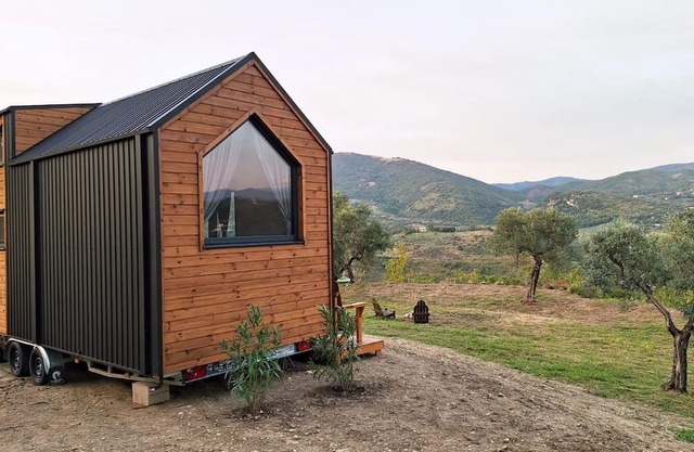 Olivo Nomade 1 by Tiny Away