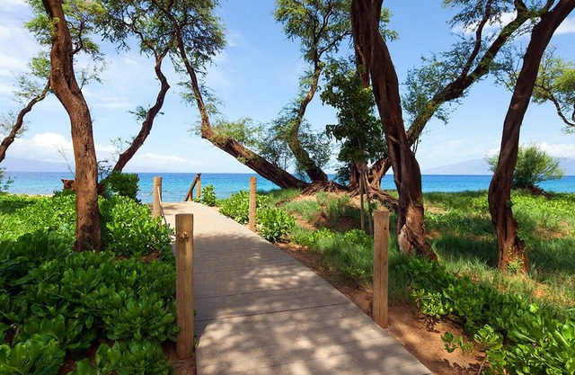 THANKSGIVING WEEK - Maui Resort - Westin Nanea Villas 3BR Oceanfront Villa