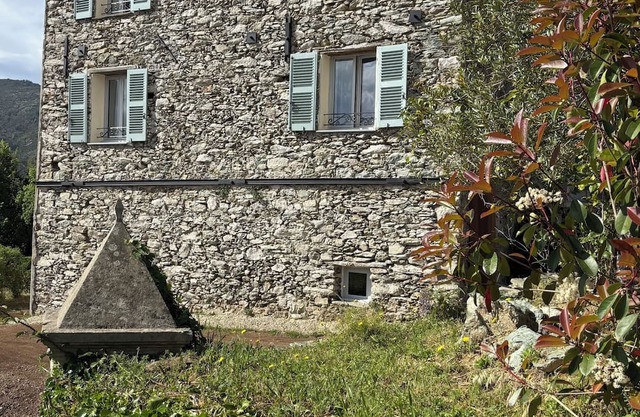 Suite with garden and pool