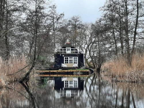 De Roerdomp