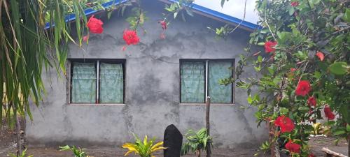 White Sand Ocean View Bungalow and Tours