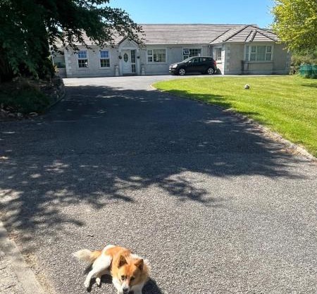 graiguenamanagh Homestay
